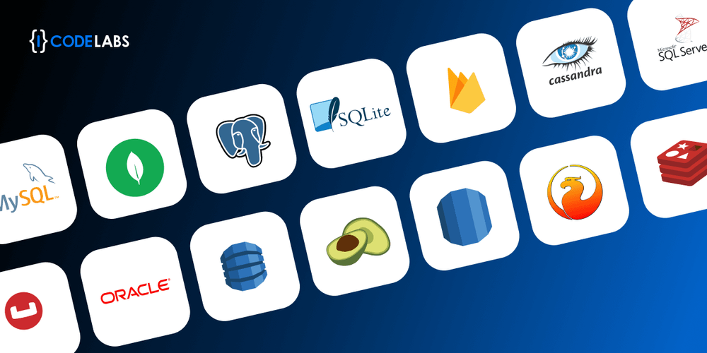 Top 15 Best Databases for Web Applications to Use in 2024